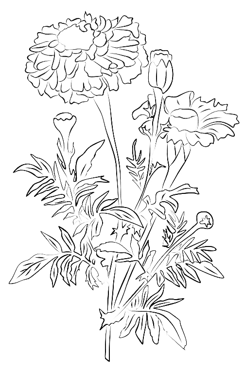Marigold October Birth Flower tattoo