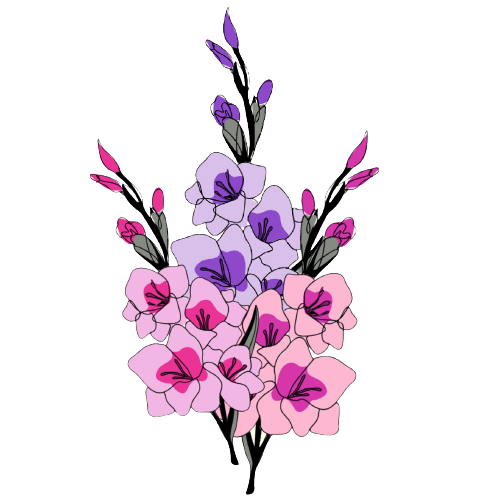 Gladiolen August Geburtsblume