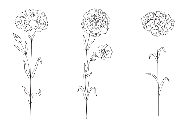 Januar Geburtsblumen-Tattoo-Ideen: Nelke