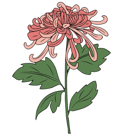 November Geburtsblume Tattoo Ideen: Chrysantheme