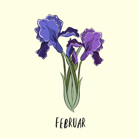 february Geburtsblume