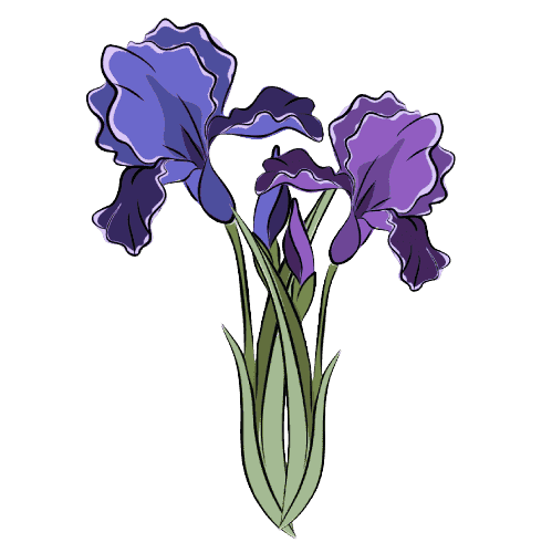 Iris February Geburtsblume