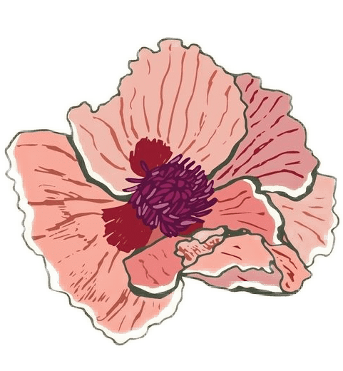 Poppy Geburtsblume
