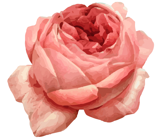 Juni Geburtsblume Tattoo Ideen: Rose
