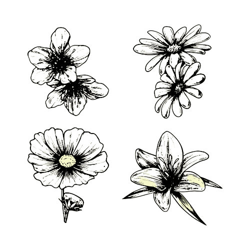 tatuajes de flores de nacimiento de octubre: Cosmos
