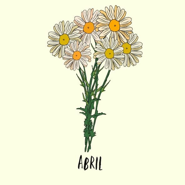 april birth flower