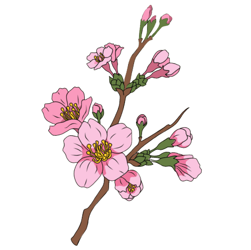 Ideas para tatuajes de flores de nacimiento de marzo: Cerezo en Flor