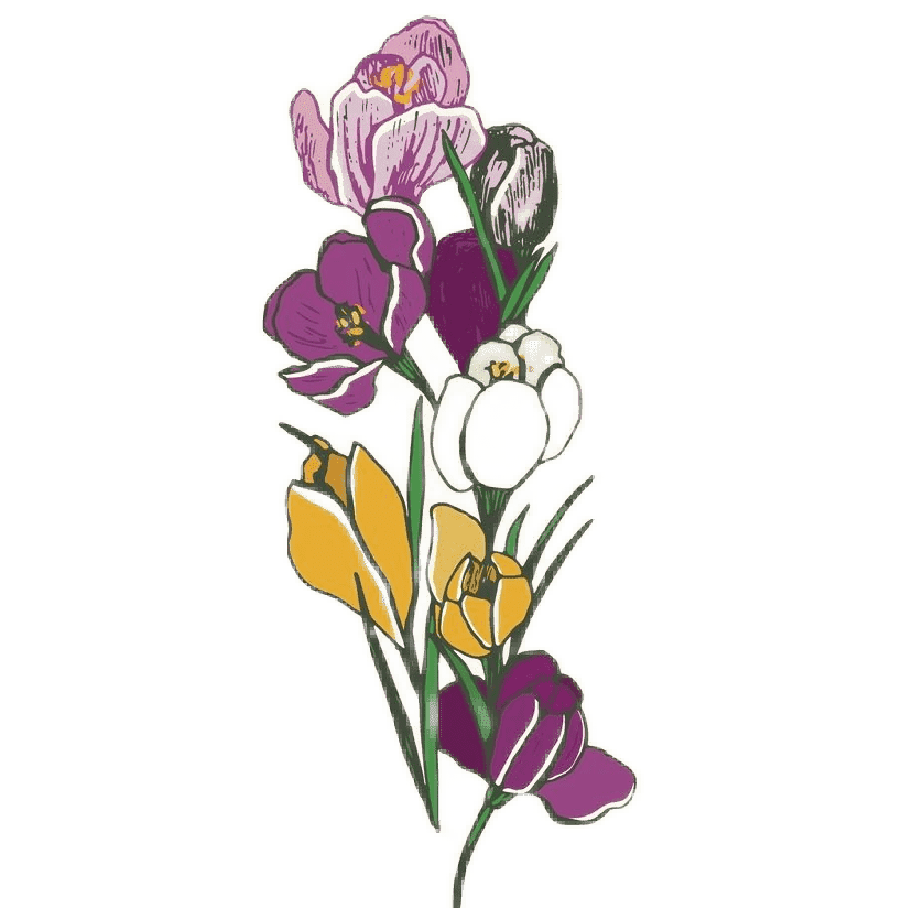 Ideas de tatuajes de flores de nacimiento de marzo: Azafrán