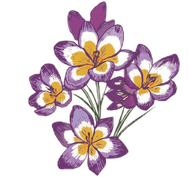 Ideas de tatuajes de flores de nacimiento de marzo: Azafrán