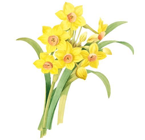 Ideas de tatuajes de flores de nacimiento de marzo: Narciso