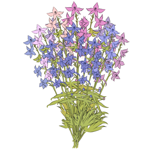 flores de nacimiento de julio: Espuela de caballero