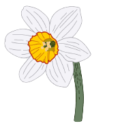 flores de nacimiento de diciembre: Eléboro