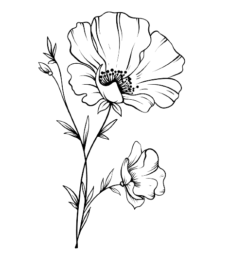 Ideas para tatuajes de flores de nacimiento de agosto: Amapola