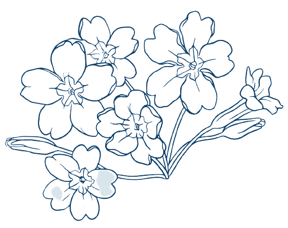 Ideas para tatuajes de flores de febrero: Primavera