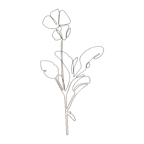 Ideas para tatuajes de flores de nacimiento: Guisantes de Olor