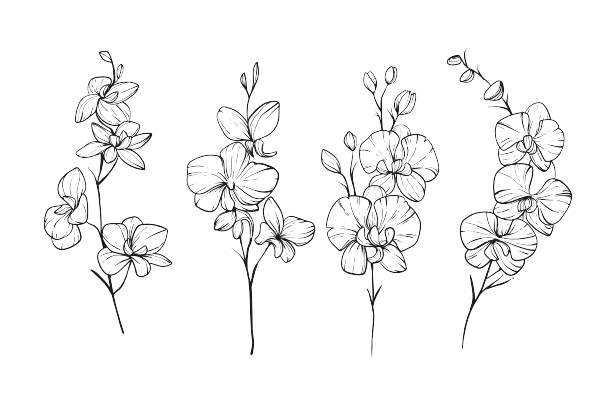 Ideas para tatuajes de flores de nacimiento: Guisantes de Olor