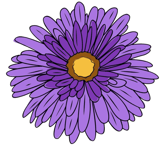  Aster - Tatouage fleur de naissance septembre