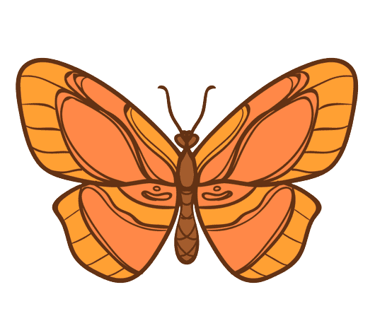 Image de la fleur de naissance