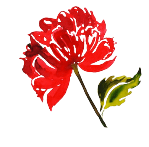 Image de la fleur de naissance