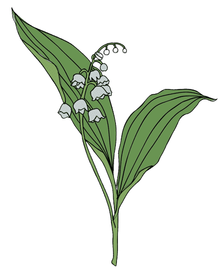 Muguet - Tatouage fleur de naissance de mai