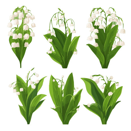 Muguet - Tatouage fleur de naissance de mai