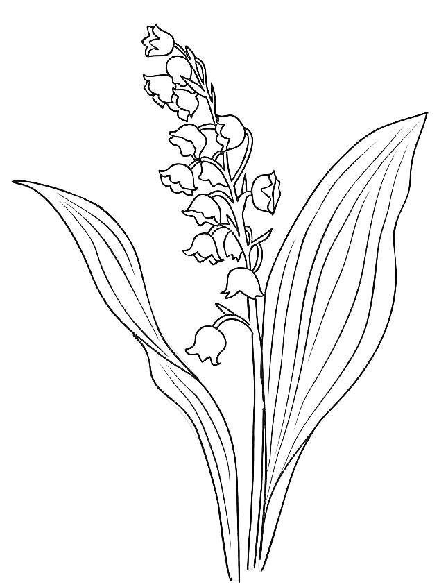 Muguet - Tatouage fleur de naissance de mai