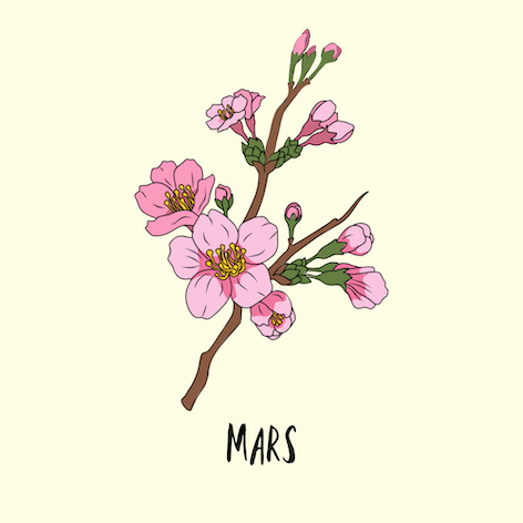 Mars Fleurs de Naissance