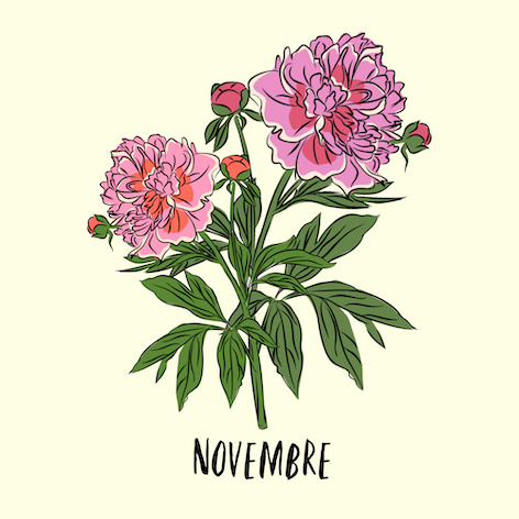 Novembre Fleurs de Naissance