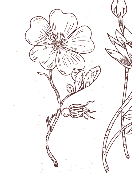 Tatouage fleur de naissance août coquelicot