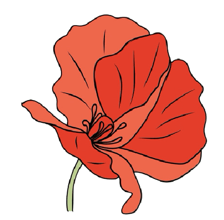 Tatouage fleur de naissance août coquelicot