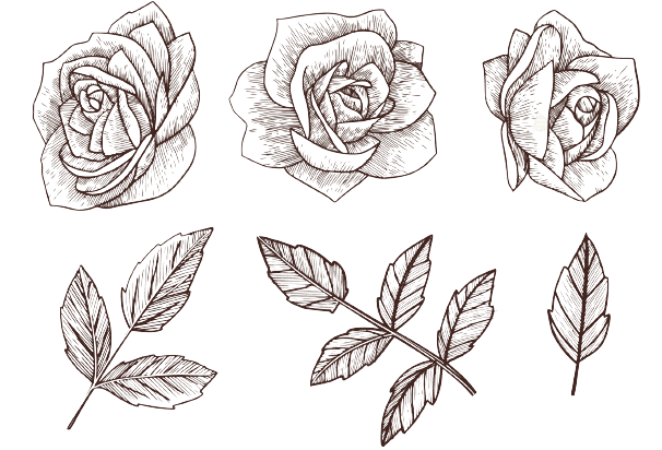 Tatouage de roses Fleur de naissance de juin