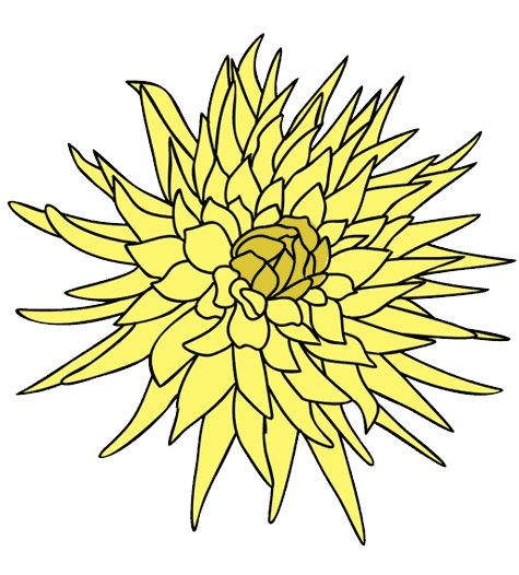 11月の誕生花タトゥーのアイデア 菊