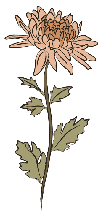 11月の誕生花タトゥーのアイデア 菊