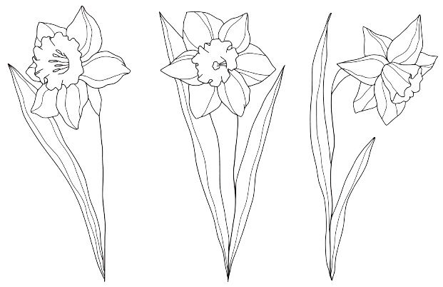 3月の誕生花タトゥーのアイデア：水仙 
