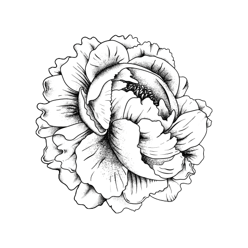 10月の誕生花タトゥーのアイデア： マリーゴールド