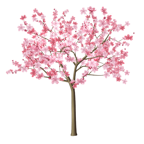 Cherry Blossom March Geboortebloem