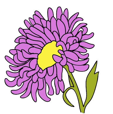 Chrysanthemum November Geboortebloem