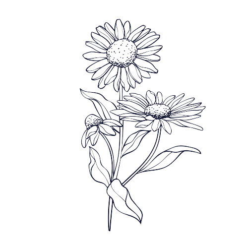 Geboorte Tatoeage Ideeën: Madeliefjes