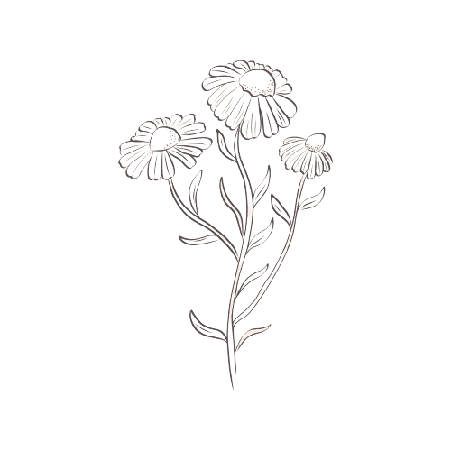 Geboorte Tatoeage Ideeën: Madeliefjes