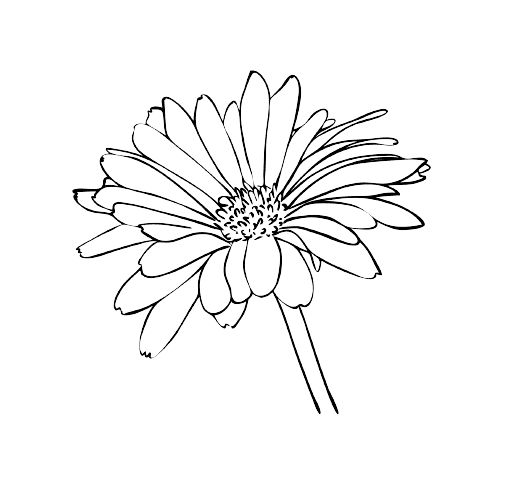 Geboorte Tatoeage Ideeën: Madeliefjes