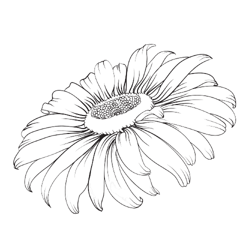 Geboorte Tatoeage Ideeën: Madeliefjes