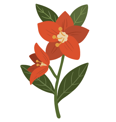 Narcissuss Geboortebloem