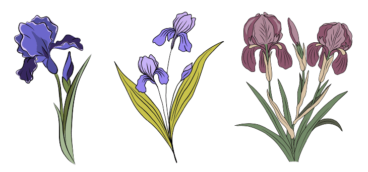 Februari Geboortebloem Tattoo Ideeën: Irissen