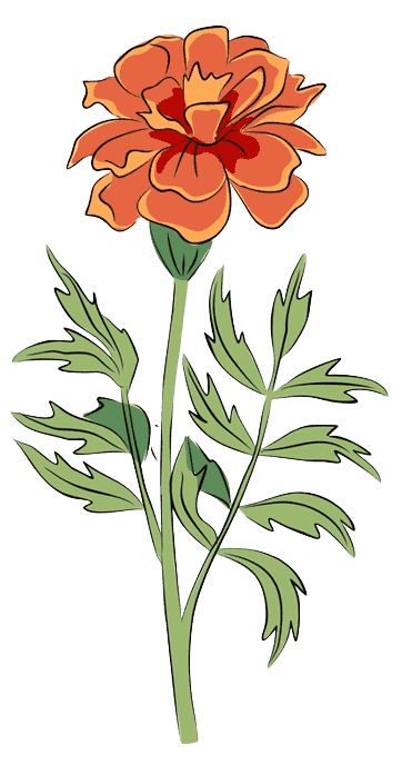 Oktober Geboortebloem Tattoo Ideeën: Goudsbloemen