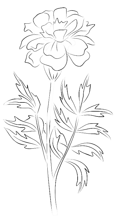 Oktober Geboortebloem Tattoo Ideeën: Goudsbloemen