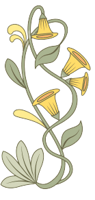 Ochtendglorie september Geboortebloem tatoeage