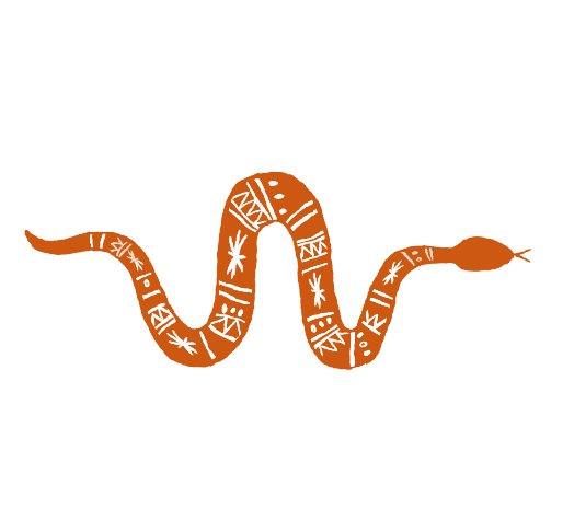 Aster September Geboortebloem