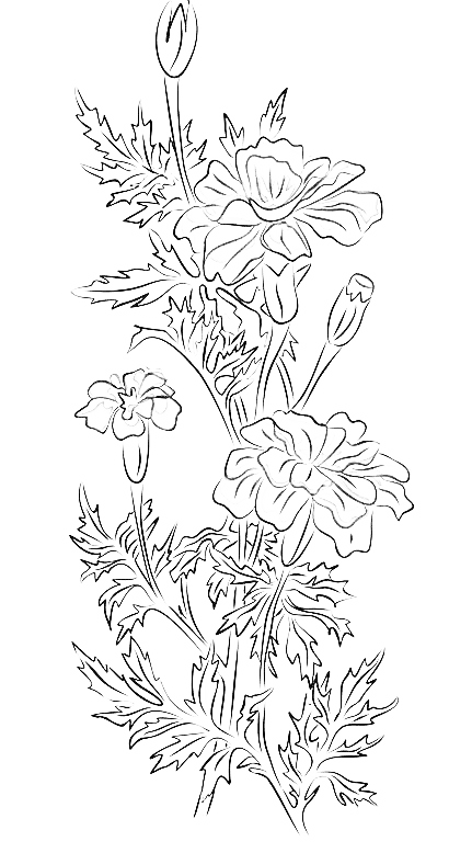 Marigold October Birth Flower tattoo line drawing