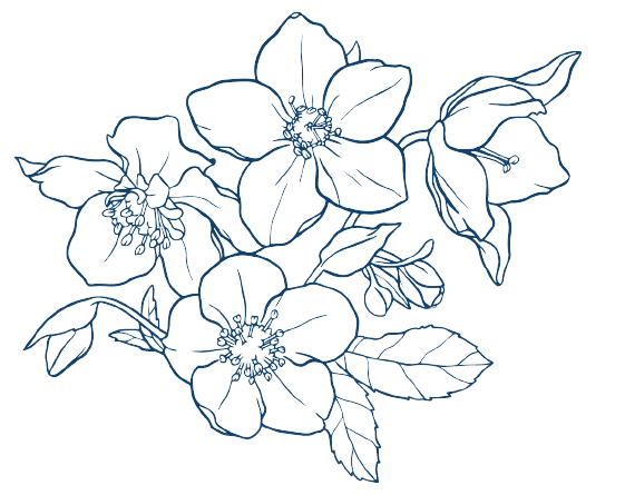 Helleborus December Birth Flower Tattoo