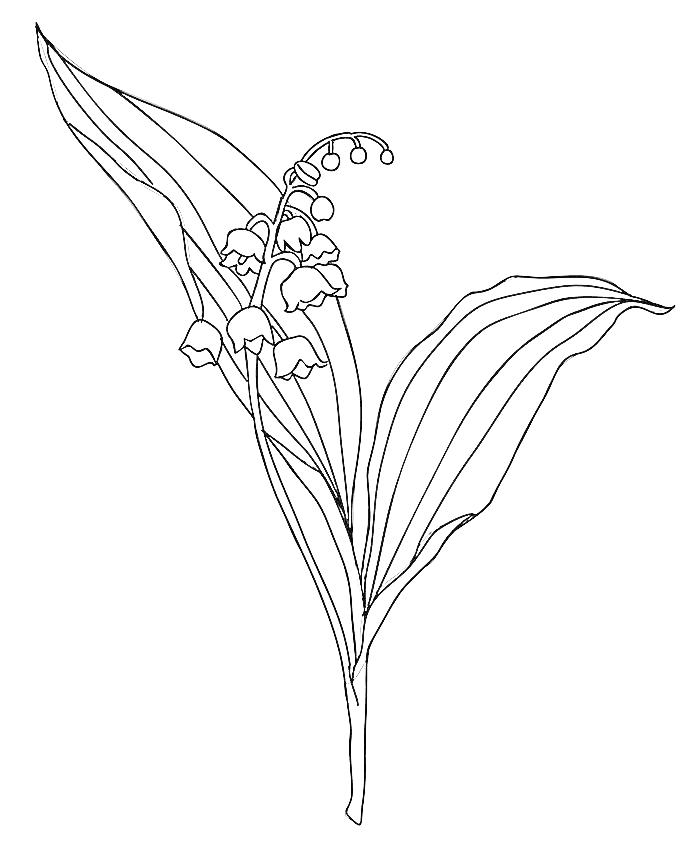 Lily of the Valley May Birth Flower Tattoo